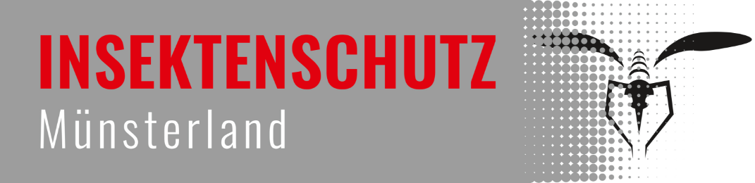 ISM Logo